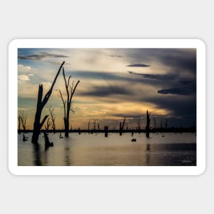 Lake Mulwala, Yarrawonga, Victoria, Australia. Sticker